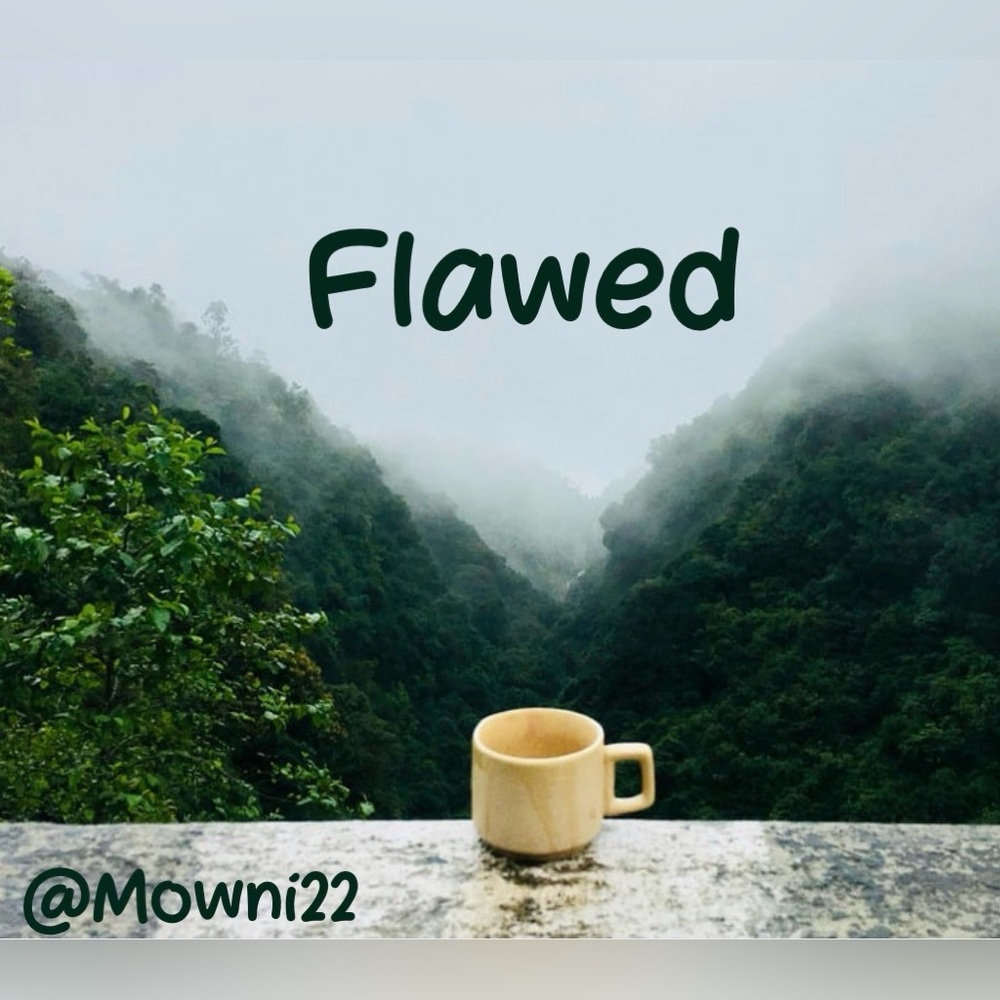 Flawed Item
